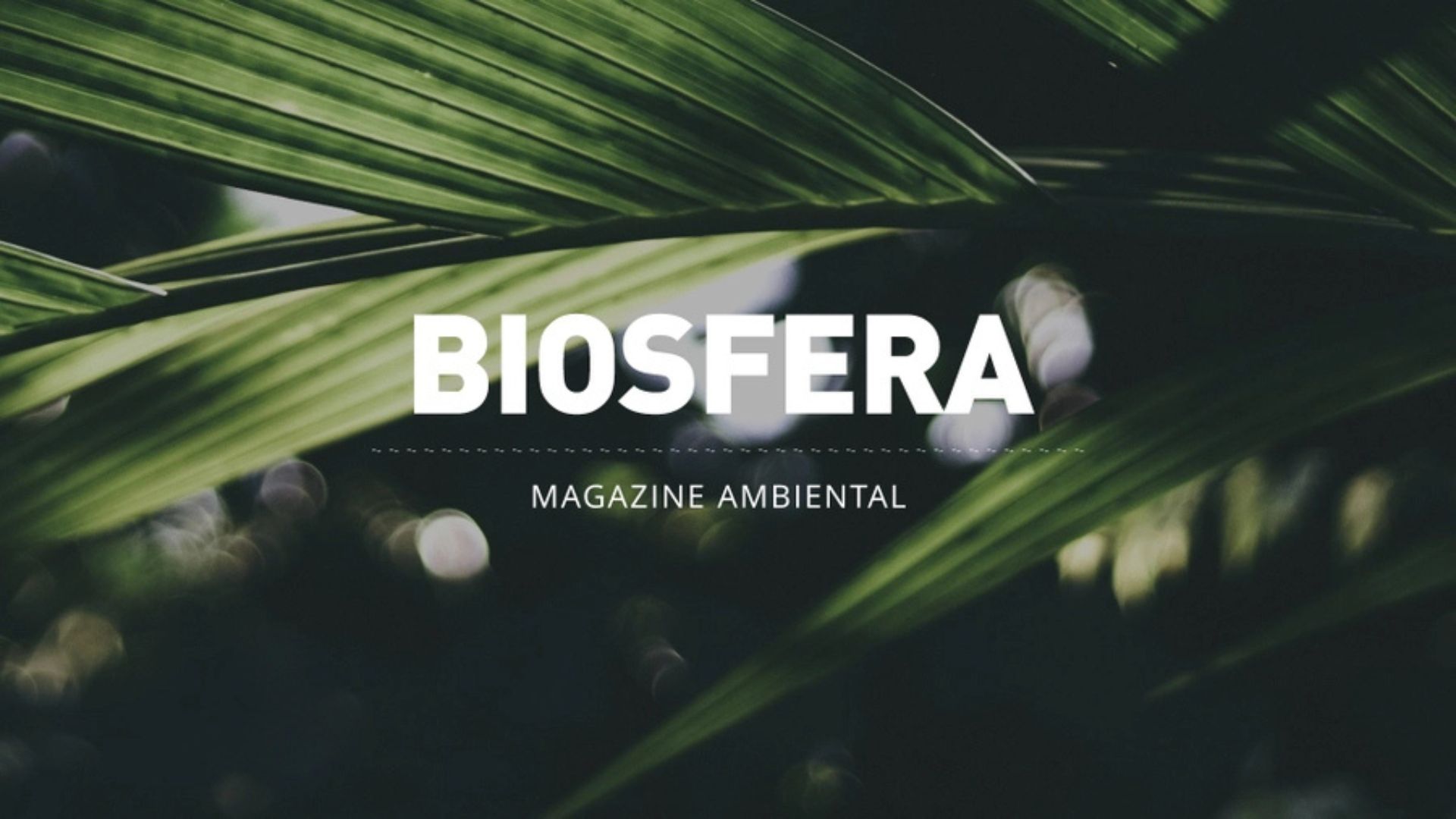 Biosfera-06-25